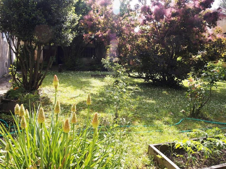 Le 7 Des Tonneliers Bed & Breakfast Castelfranc Exterior photo